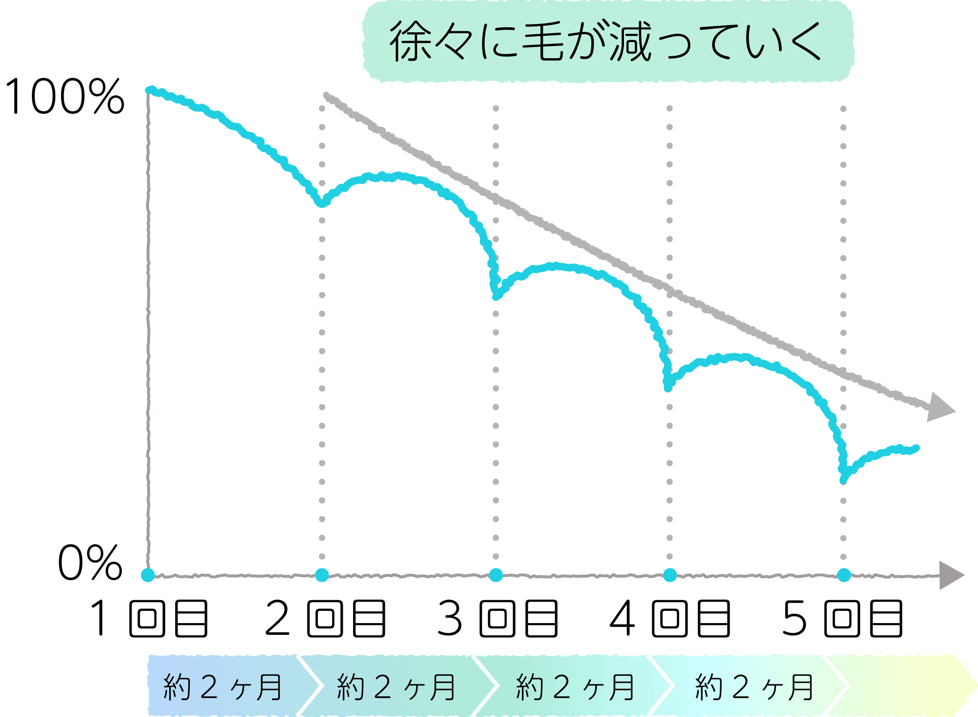 医療脱毛の経過のイメージ