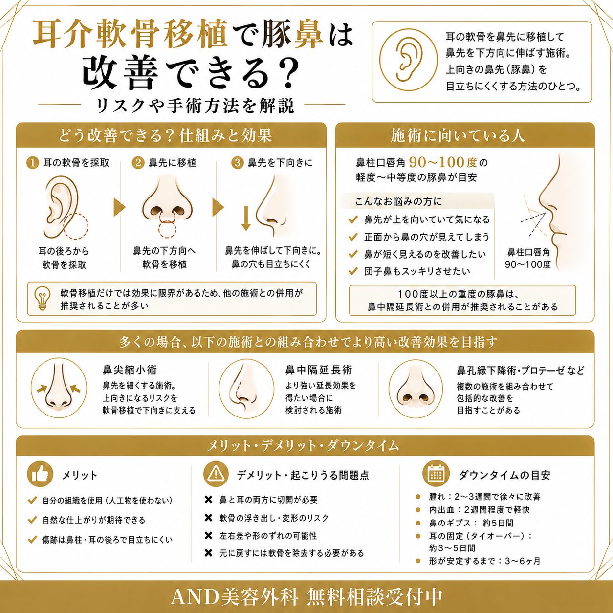 耳介軟骨移植 豚鼻のインフォグラフィック