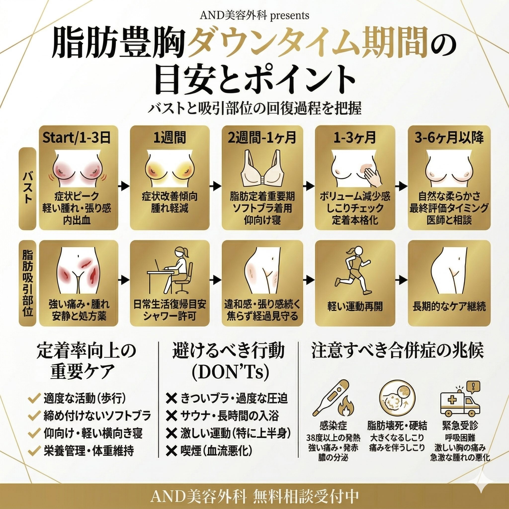 脂肪豊胸ダウンタイムのインフォグラフィック