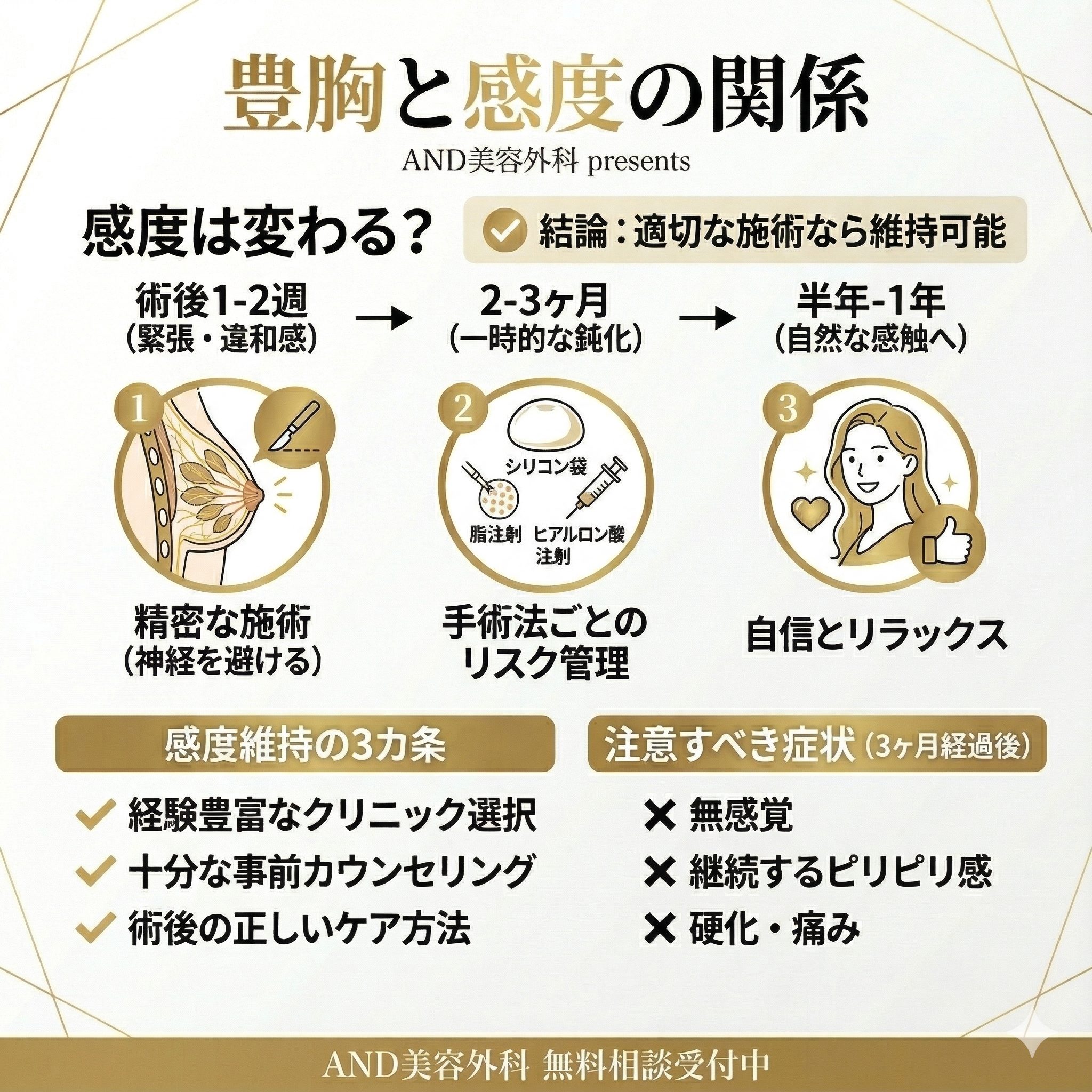 豊胸感度のインフォグラフィック