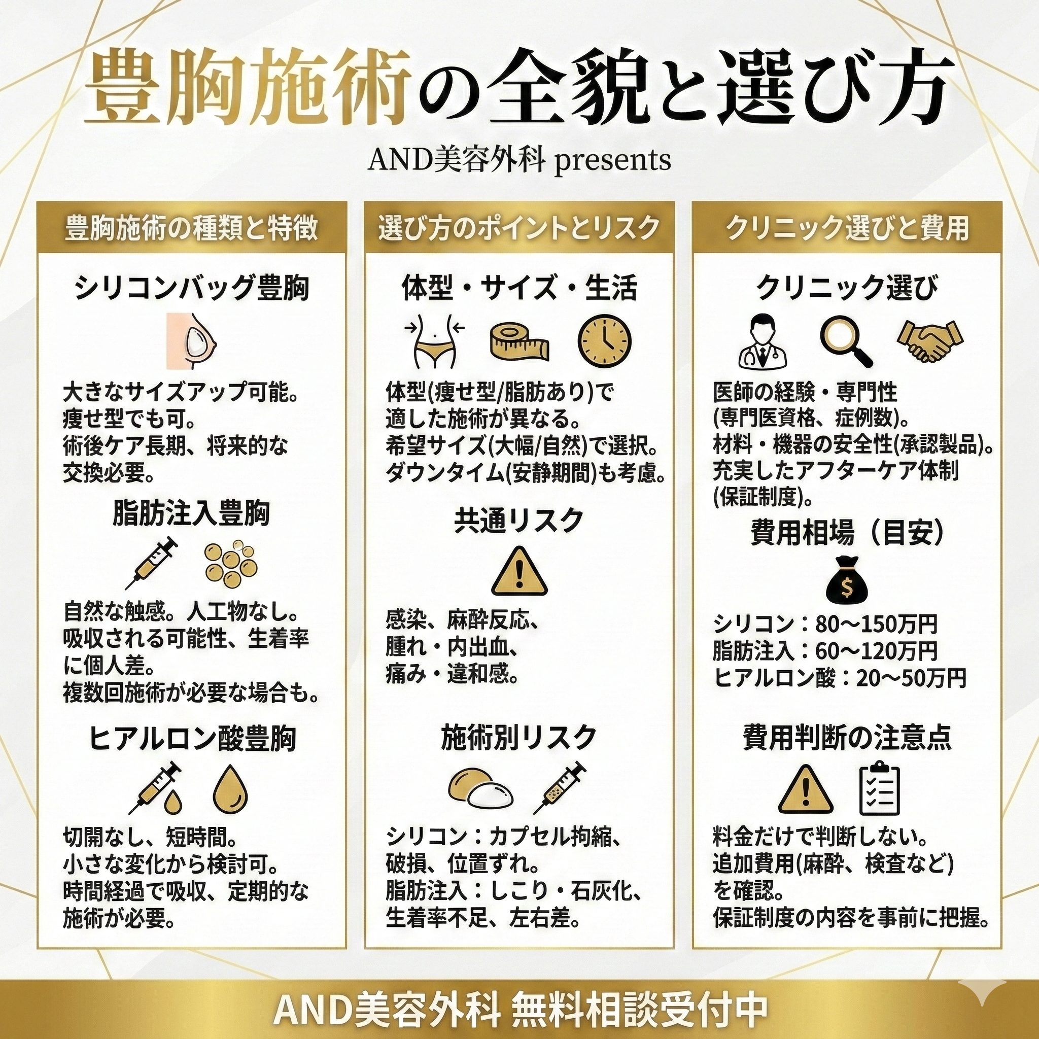 貧乳 豊胸のインフォグラフィック