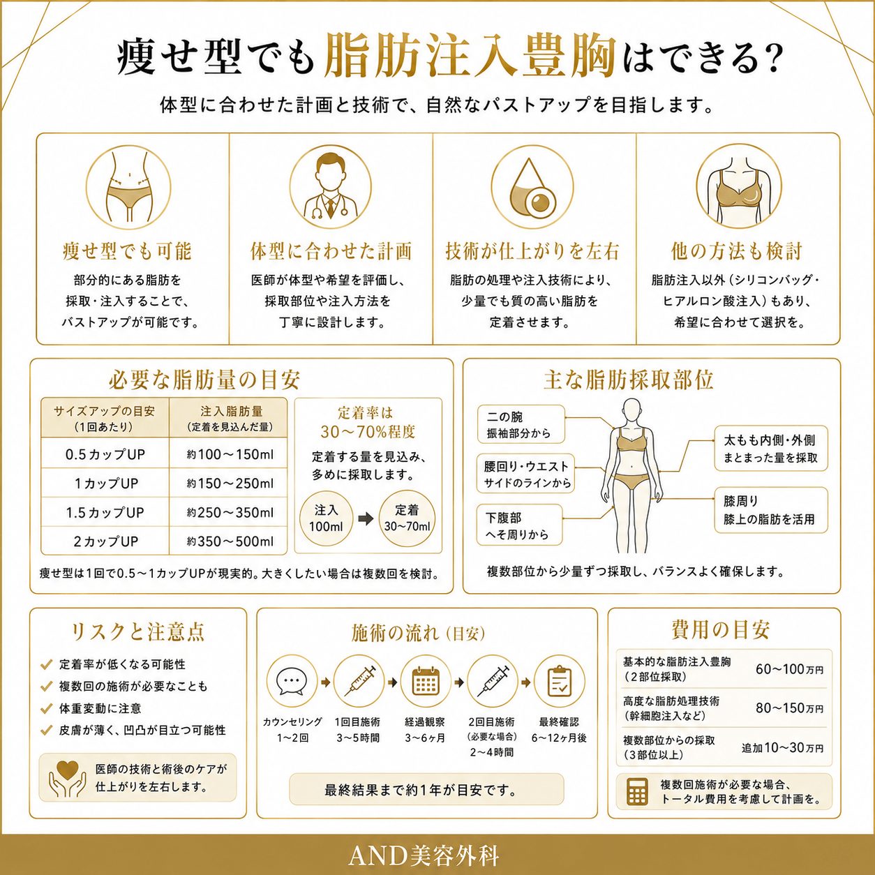 豊胸 脂肪注入 痩せ型のインフォグラフィック