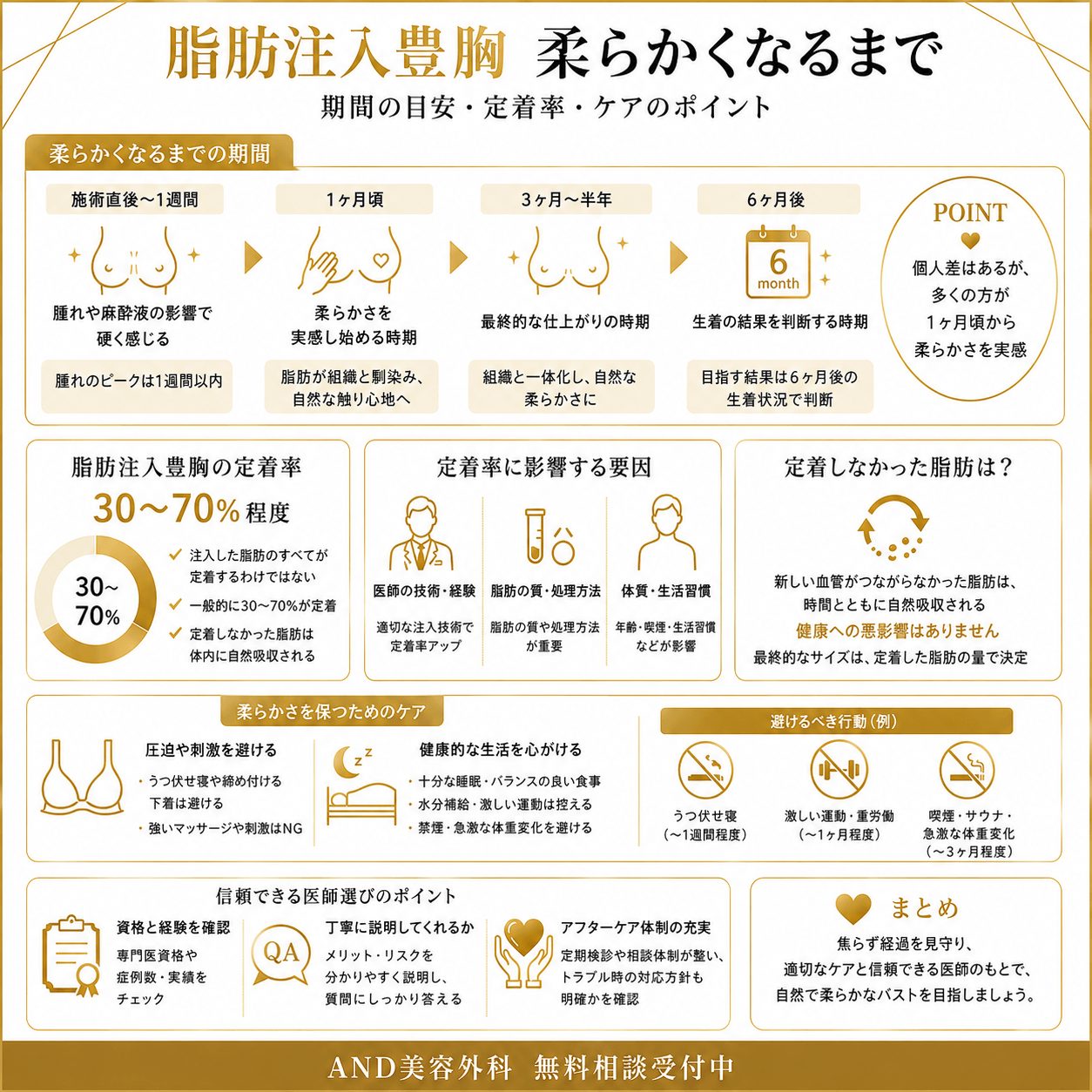 脂肪注入 豊胸 柔らかくなるまでのインフォグラフィック
