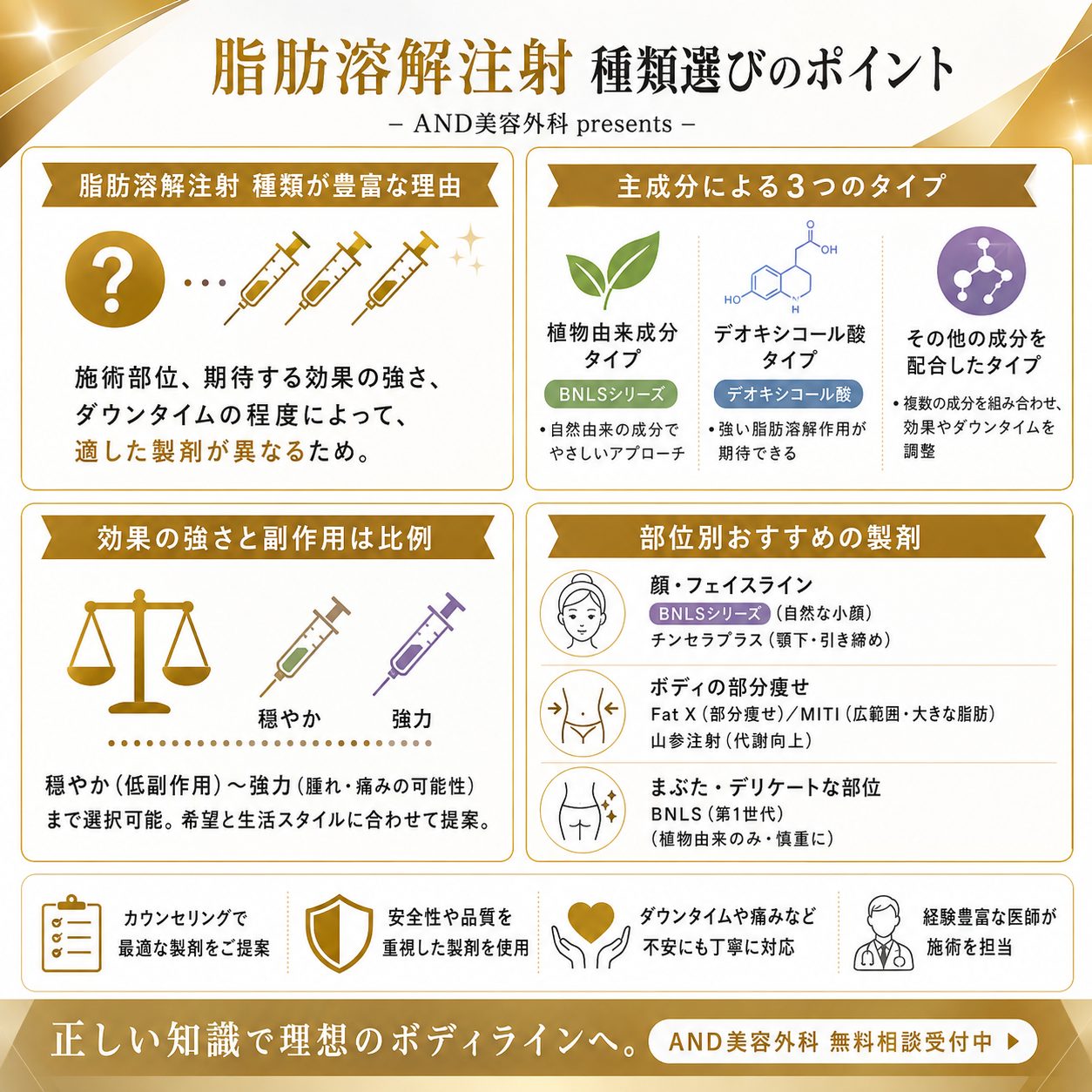 脂肪溶解注射種類についての解説画像