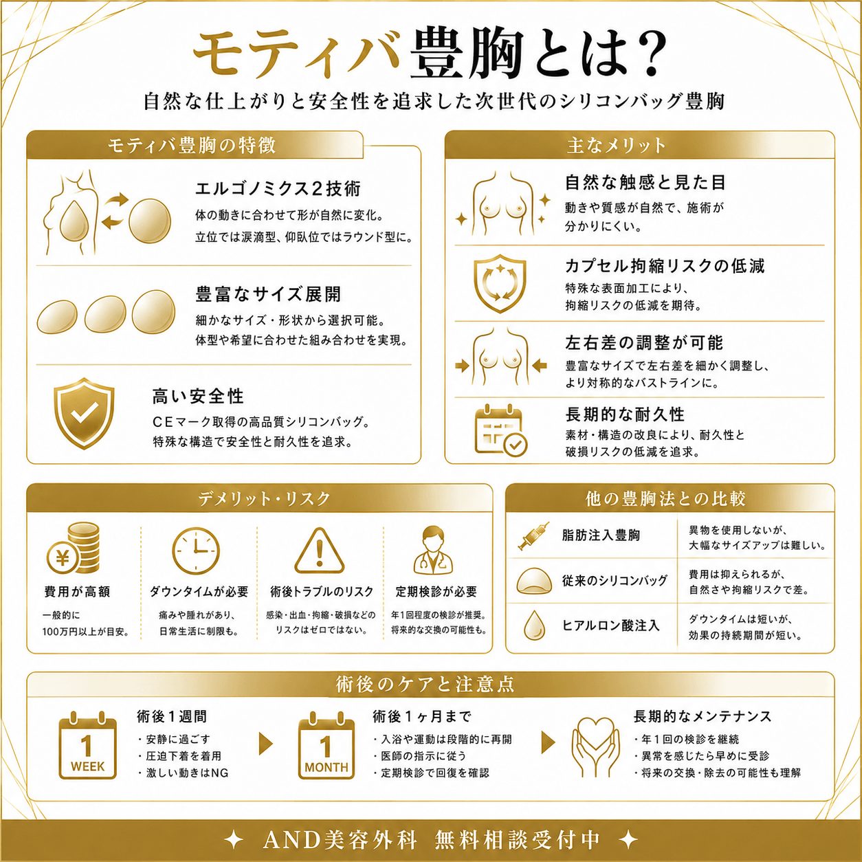 モティバ豊胸とはのインフォグラフィック