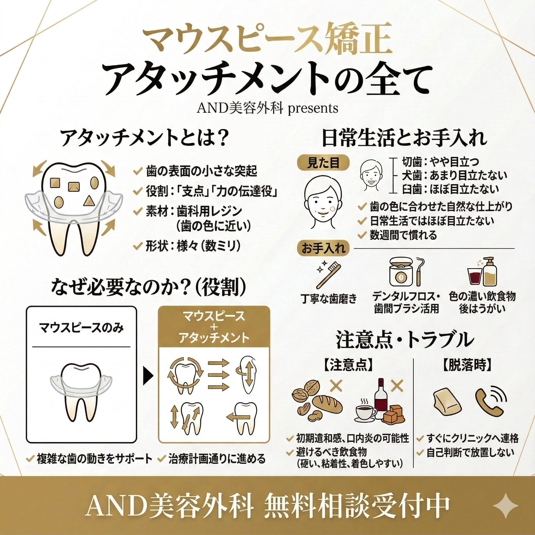 マウスピース矯正アタッチメントのインフォグラフィック