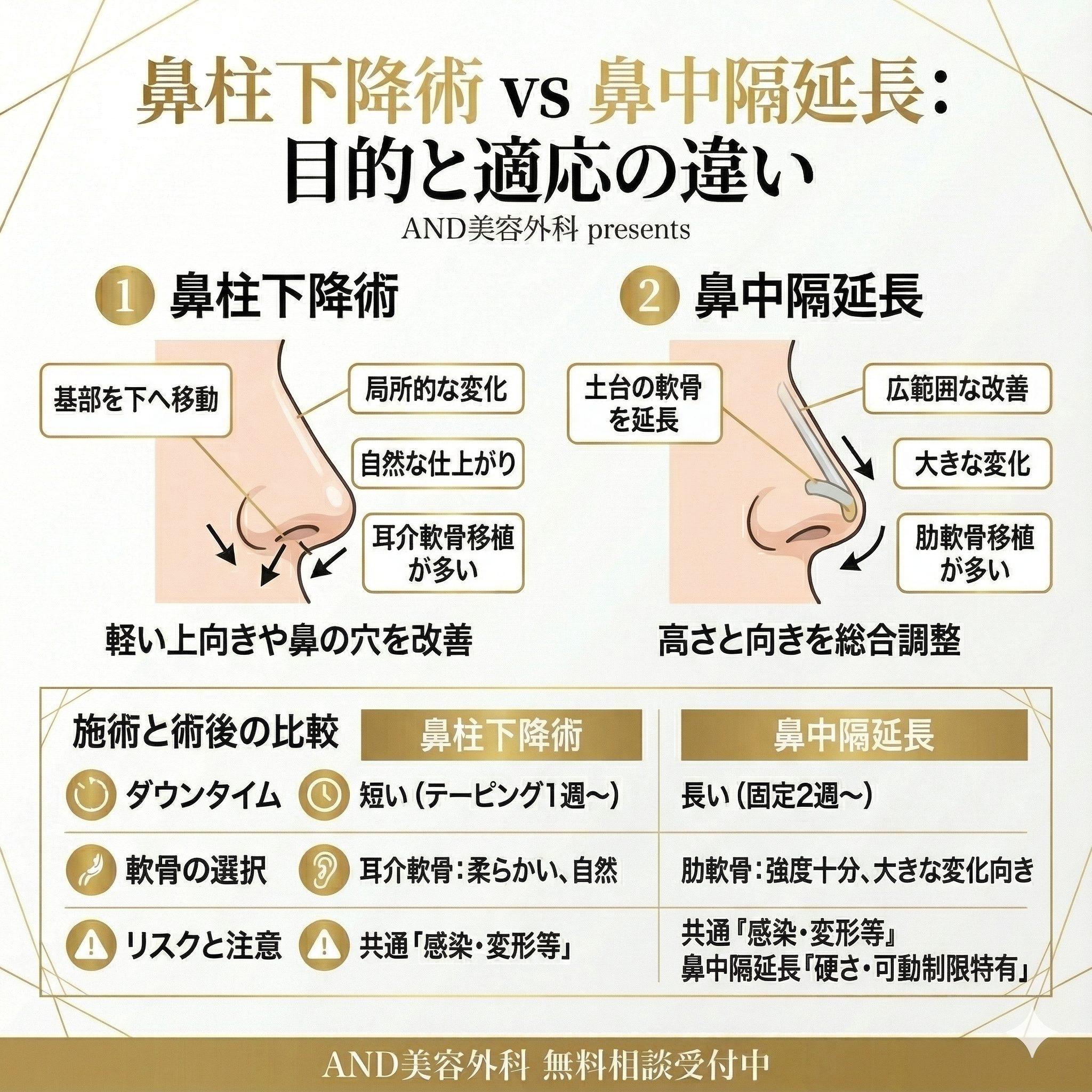 鼻柱下降術鼻中隔延長違いのインフォグラフィック