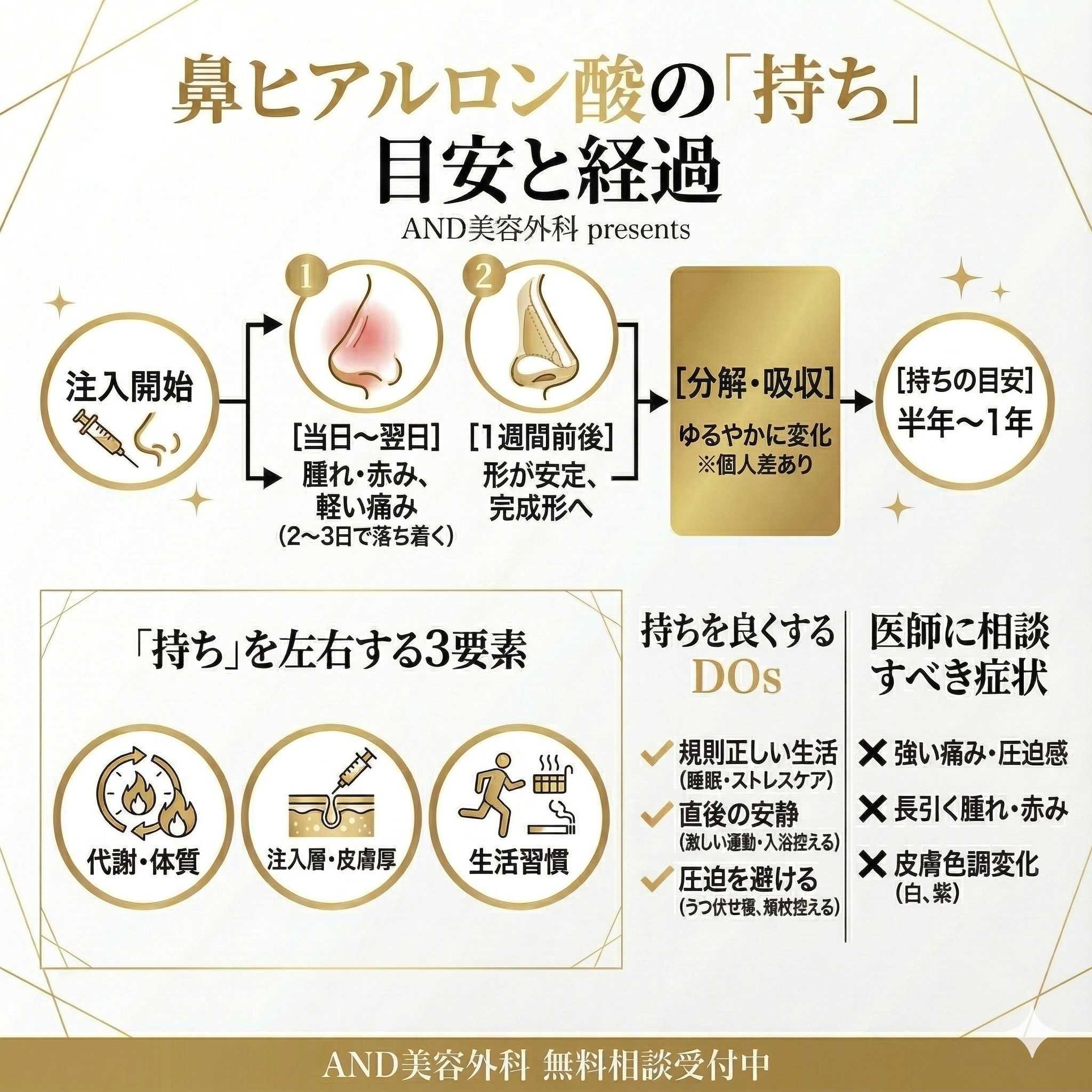 鼻ヒアルロン酸持ちのインフォグラフィック