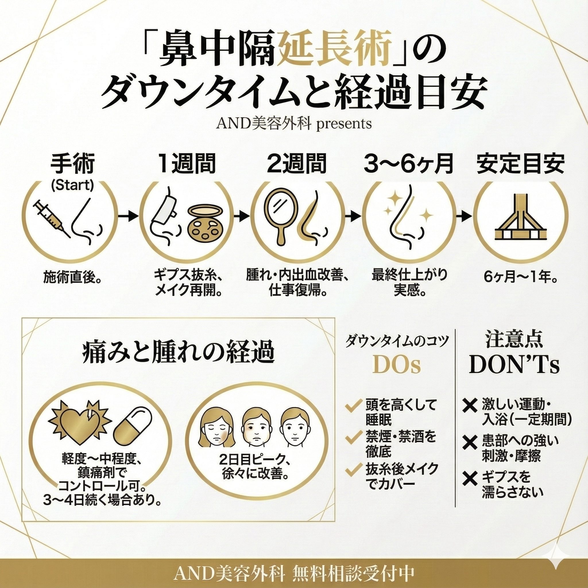 鼻中隔延長術ダウンタイムのインフォグラフィック