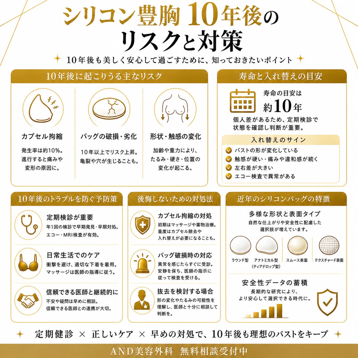 シリコン 豊胸 10年後のインフォグラフィック