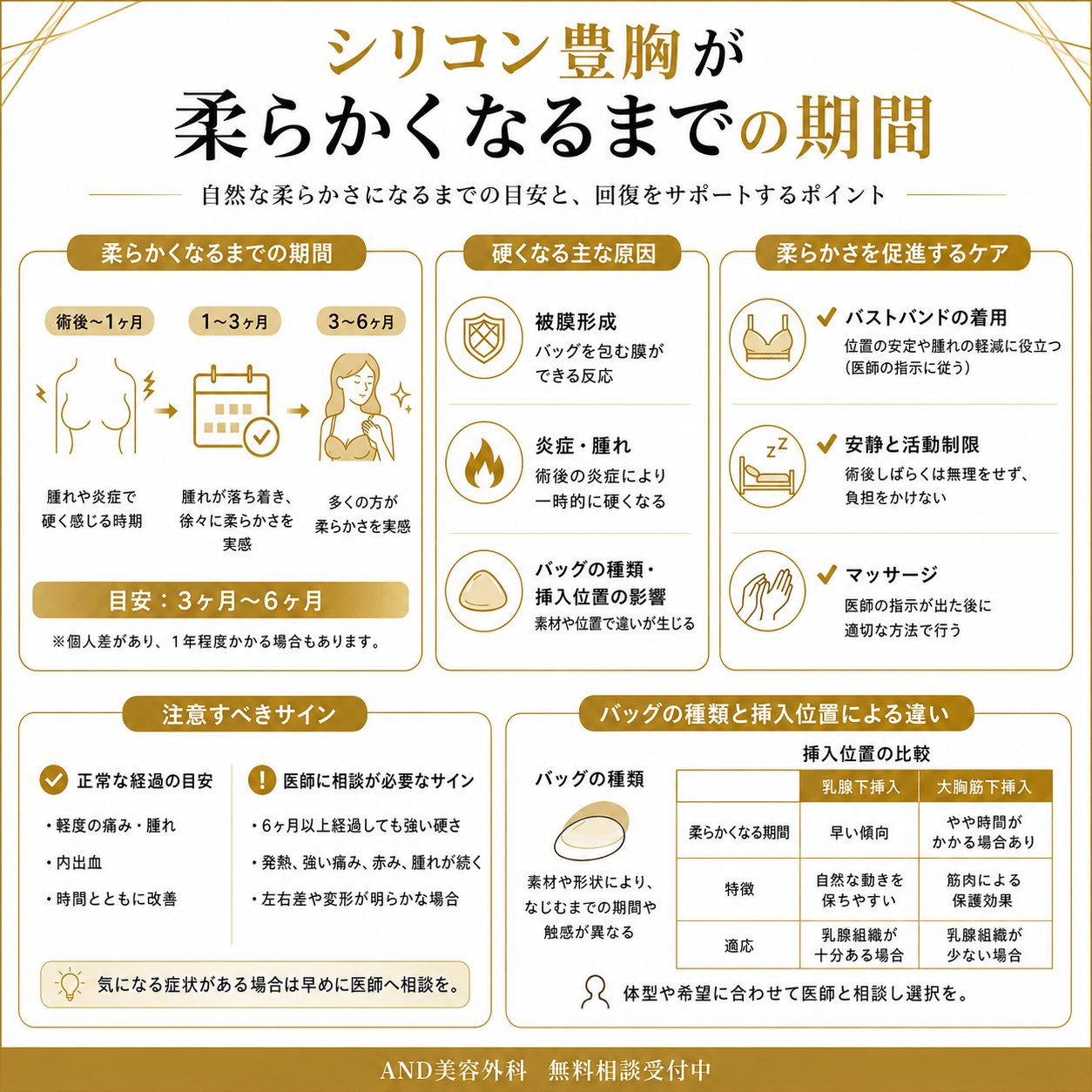 シリコン豊胸 柔らかくなるまでのインフォグラフィック