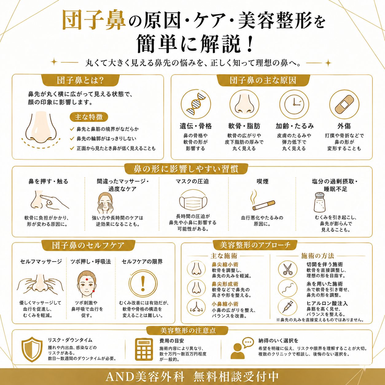 団子鼻のインフォグラフィック