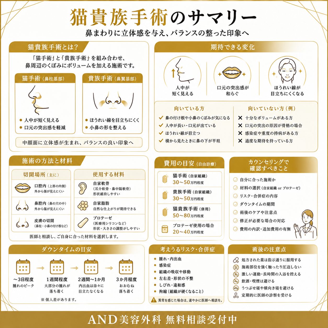 猫貴族手術のインフォグラフィック