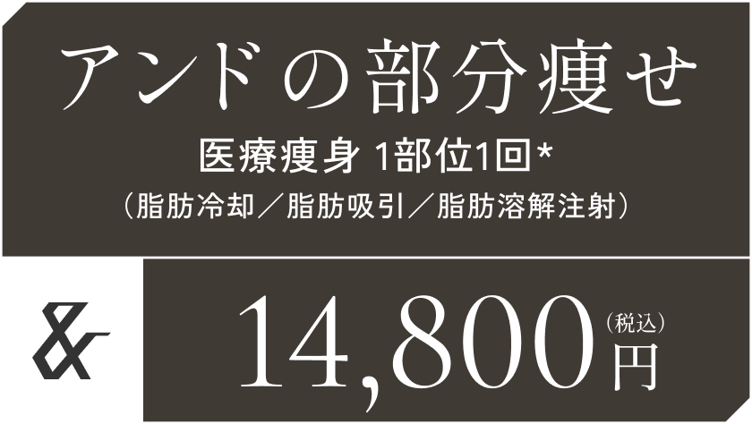 アンドの部分痩せ 医療痩身 1部位1回*（脂肪冷却／脂肪吸引／脂肪溶解注射）14,800円（税込）