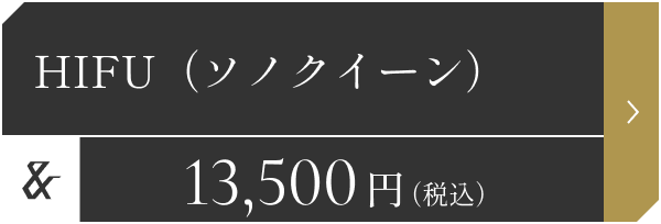 HIFU(ソノクイーン) 13,500円(税込)