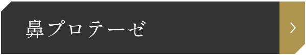 鼻プロテーゼ