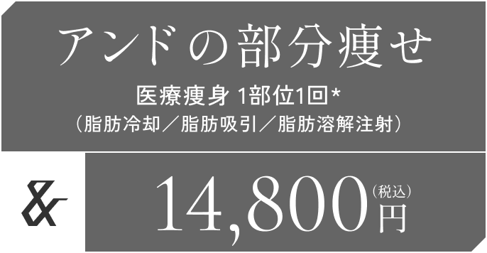 アンドの部分痩せ 医療痩身 1部位1回*（脂肪冷却／脂肪吸引／脂肪溶解注射）14,800円（税込）