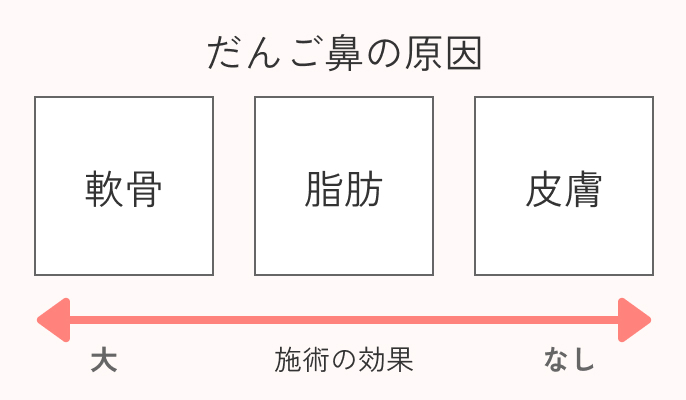 だんご鼻の説明