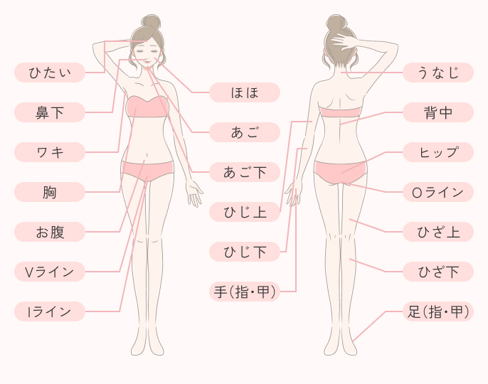 照射可能部位一覧