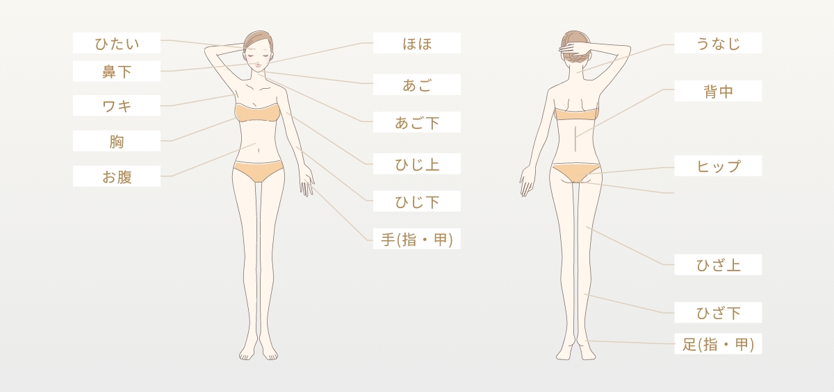 全身脱毛（顔込み）プラン