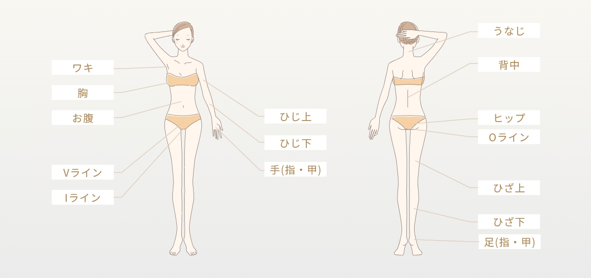 全身脱毛（VIO込み）プラン
