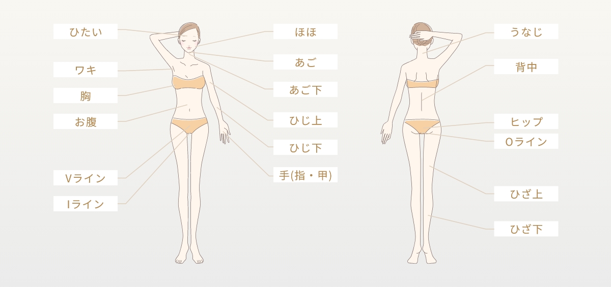 全身脱毛（顔＋VIO込み）プラン