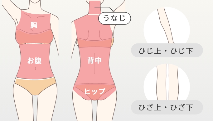 Sパーツプラン